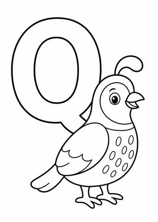 Letter Q Quail Coloring Page